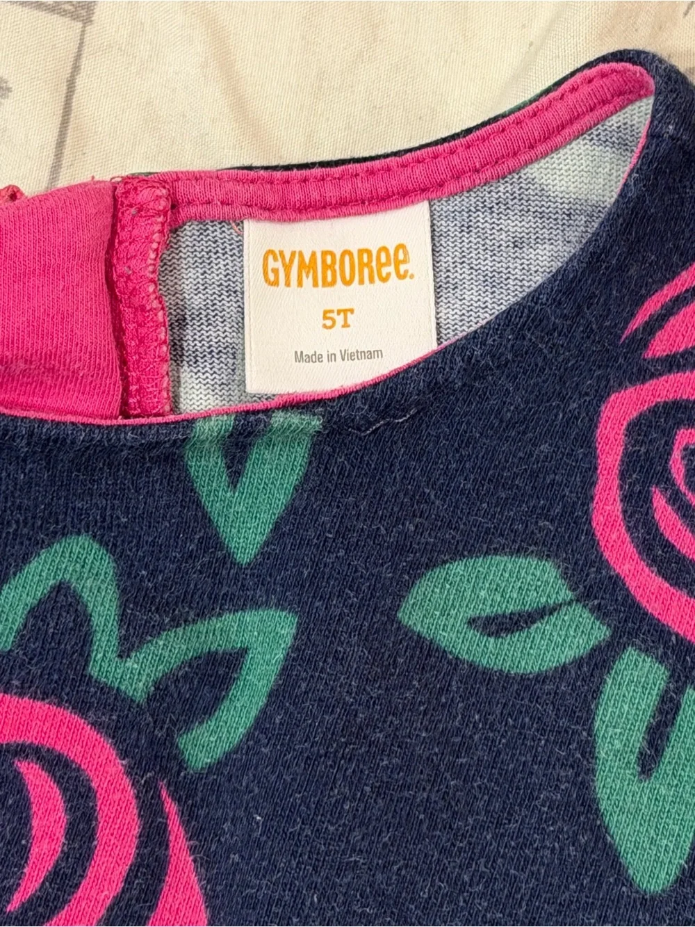 Gymboree Blue Three Quarter Sleeve Rose Sweatshirt Dress size 5T